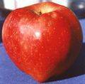 Receta casera de manzana contra el colesterol