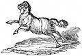 Aries