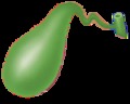Distribución de alimentos para vesícula con piedras