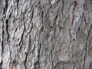 Tratamientos naturales para el calambre muscular en las piernas