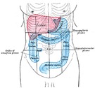 Causas del colon irritable